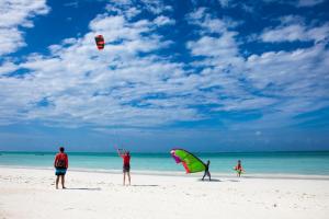 江比阿Geo Zanzibar Resort的一群在海滩上飞风筝的人