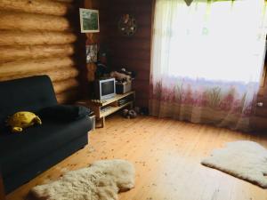 MattilaUnien Koti Cottage的带沙发和窗户的客厅