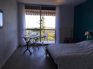 蒙特里夏尔Appartement Touraine Vue sur la Vallée du Cher的相册照片