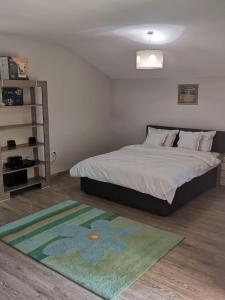 克卢日-纳波卡Vikings Grigo Apartaments的一间卧室配有床和绿色地毯