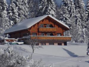 Foncine-le-HautLes Genévriers的雪地里的小木屋,有雪覆盖的树木