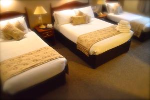Hotel Curracloe客房内的一张或多张床位