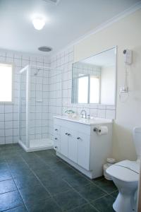 Barooga运动家汽车旅馆的一间带卫生间、水槽和镜子的浴室