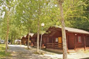 圣胡安-德拉斯阿巴德萨斯野营阿巴德斯酒店的森林中间的小木屋