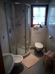 多比亚科Trogerhof的带淋浴、卫生间和盥洗盆的浴室