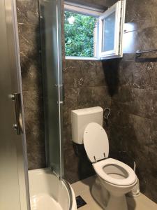 普利特维采村Country house Plitvice的一间带卫生间、水槽和窗户的浴室