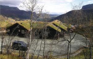 海姆瑟达尔Cozy Home In Hemsedal With Wifi的河边有草屋顶的房屋,有停车位