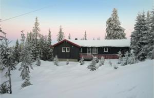 斯朱森3 Bedroom Cozy Home In Sjusjen的雪中的一个红色小屋,有树