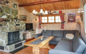 海姆瑟达尔Amazing Home In Hemsedal With 3 Bedrooms的带沙发和壁炉的客厅