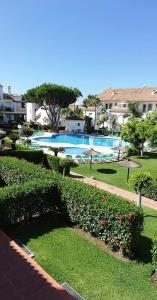 马贝拉Carib Playa Marbella apartments的一个带游泳池和一些鲜花的花园