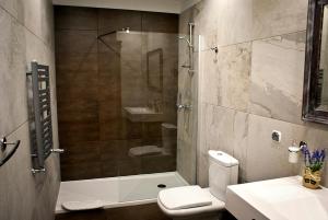 乔左维尔考普尔斯基MCM普拉斯酒店的带淋浴、卫生间和盥洗盆的浴室