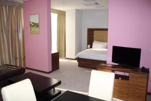 普列夫利亚Hotel Franca的一间带一张床的房间和一间带电视的客厅