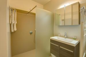 安特卫普Arass Hôtel & Business Flats的一间带水槽和淋浴的浴室