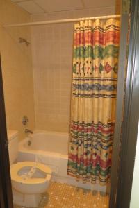 法戈法戈大酒店的一间带卫生间和淋浴帘的浴室