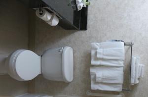 罗克斯普林格林河罗克斯普林斯快捷假日&套房酒店的浴室提供卫生纸饮水机和毛巾