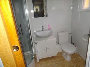 Wihr-au-ValTiny-house的一间带卫生间和水槽的浴室