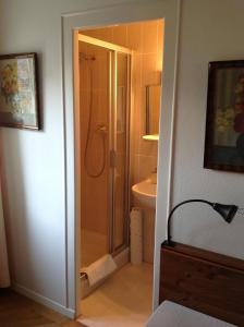 杜利杜丽旅馆的带淋浴和盥洗盆的浴室