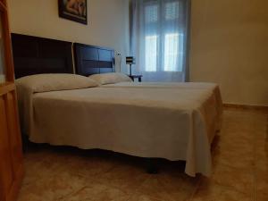 阿尔玛格鲁Casa Rural San blas的卧室配有一张大白色床和窗户
