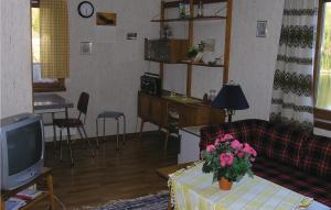 努尔菲尤尔埃德Cozy Home In Nordfjordeid With Kitchen的带沙发和电视的客厅