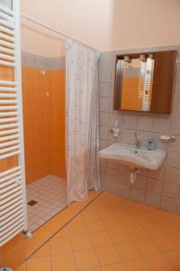 Prignano CilentoCasa Vacanze - B&B Il Tempone的带淋浴和盥洗盆的浴室
