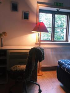 埃斯勒夫Bo i Remmarlöv的一只狗坐在带灯的房间的椅子上
