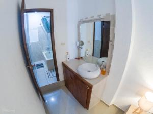 圣佩德罗拉拉古纳San Pedro Suite的一间带水槽和淋浴的浴室
