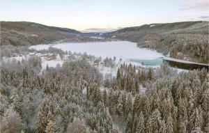 布拉纳斯Stunning Home In Sysslebck With Kitchen的享有雪覆盖的森林和湖泊的空中景致