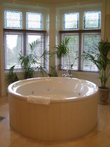 莫希尔林恩湖城堡酒店的带窗户的客房内的大浴缸