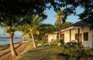 劳托卡Belo Vula Island Resort Limited的棕榈树和水的海滩上的房子