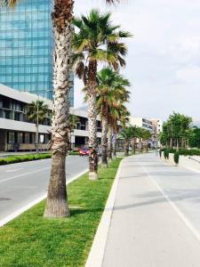 斯普利特Adriatic Blue View的一条在街道边种满棕榈树的路边