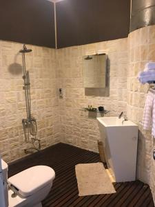 昆达桑梅西洛山高山休闲度假屋的浴室配有白色卫生间和盥洗盆。