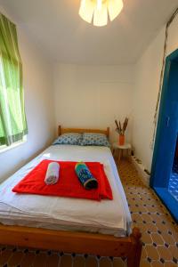 Danube Delta Hostel Homestay & Camping客房内的一张或多张床位