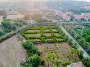 布里亚蒂科Feudo di Villa Anticaglia的享有棕榈树花园的空中景致