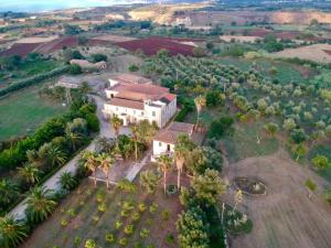 布里亚蒂科Feudo di Villa Anticaglia的棕榈树房屋的空中景致