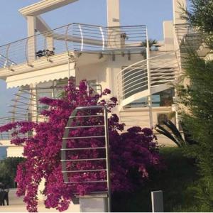 瓦斯托科琳娜度假酒店的紫色花的建筑前的梯子