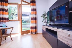 斯卡尔尼茨Karwendelgold的客厅配有大电视和桌子