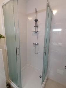萨格勒布Lanterna Apartment的浴室里设有玻璃门淋浴
