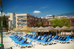 埃尔佩雷略奥利威尔斯欧特斯酒店的海滩上的一排躺椅和遮阳伞