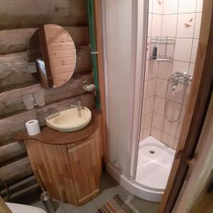 (( Čūskumuiža ))ŠMITI的一间带水槽、卫生间和镜子的浴室