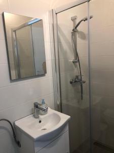 塞尼RougeMARIN apartments的浴室配有盥洗盆和带镜子的淋浴