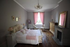 Mesnil-MartinsartBed & Breakfast au Château de Martinsart的一间卧室设有一张大床和一个壁炉