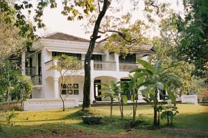 果阿旧城The Postcard Velha, Goa的前面有树木的白色房子