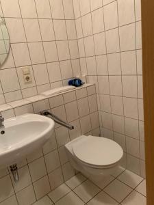 特罗辛根Linde Restaurant & Hotel的一间带卫生间和水槽的浴室