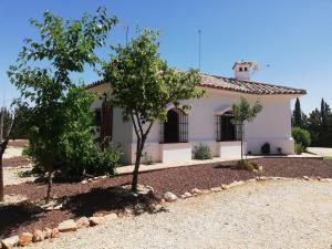 Argamasilla de AlbaCasa rural Alavesa的前面有一棵树的白色房子