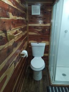 MarshallAmish made cedar cabin with a loft on a buffalo farm close to the Buffalo River的木墙浴室设有卫生间