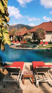 龙目岛库塔Puri Rinjani Bungalows & Hostel的一个带躺椅的游泳池和一个游泳池