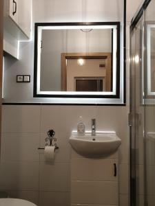 凯尔采Kobi的一间带水槽和镜子的浴室