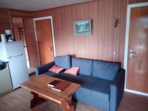埃兹达尔Stenvåg Camping的客厅配有蓝色的沙发和桌子