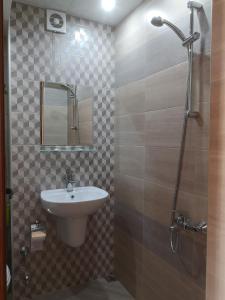 卡洛费尔стаи за гости Диневи的浴室配有盥洗盆和带镜子的淋浴