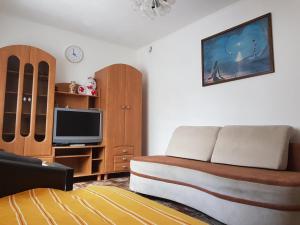 埃尔布隆格POKÓJ POMORSKA的一间带床和电视的客厅